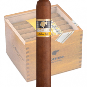 Cohiba Robusto